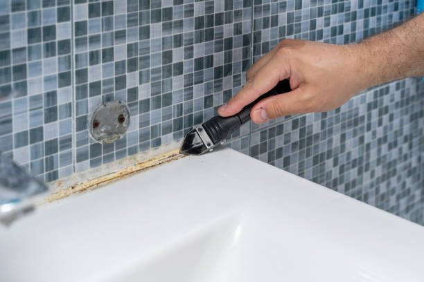 Best Office Mold Removal Services  in Hilton Head Island, SC